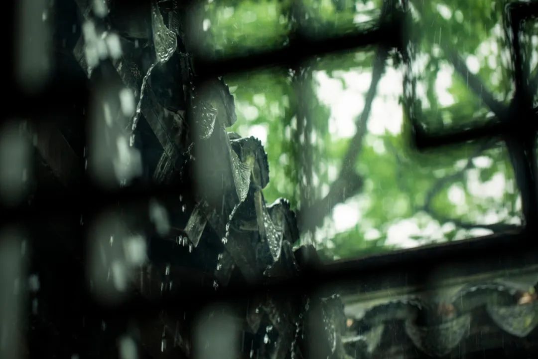 20230309-2.jpg