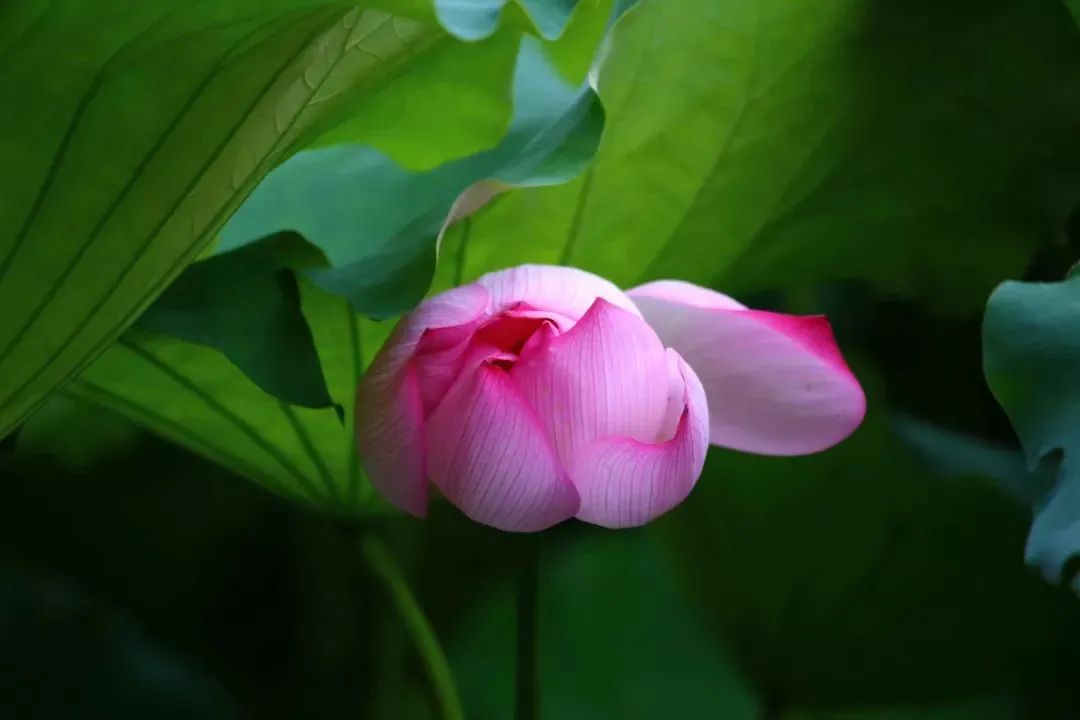微信圖片_20220118145809.jpg