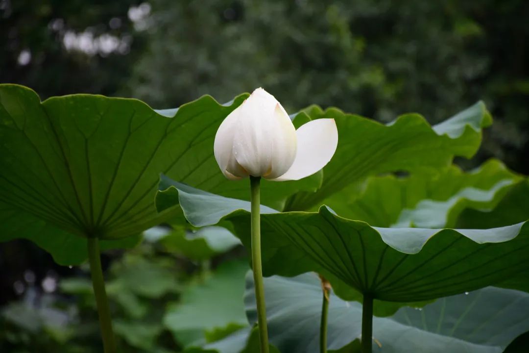 微信圖片_20220118145812.jpg