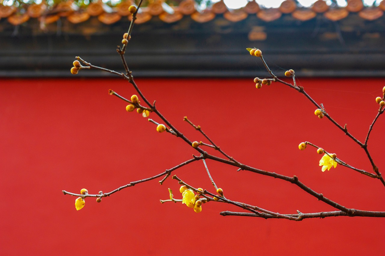 微信圖片_20220122212055.jpg