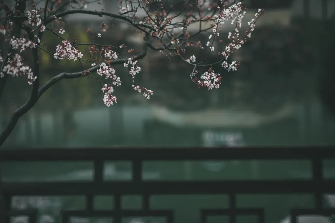 微信圖片_20220218224209.jpg