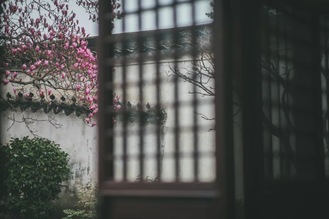 微信圖片_20220218224211.jpg